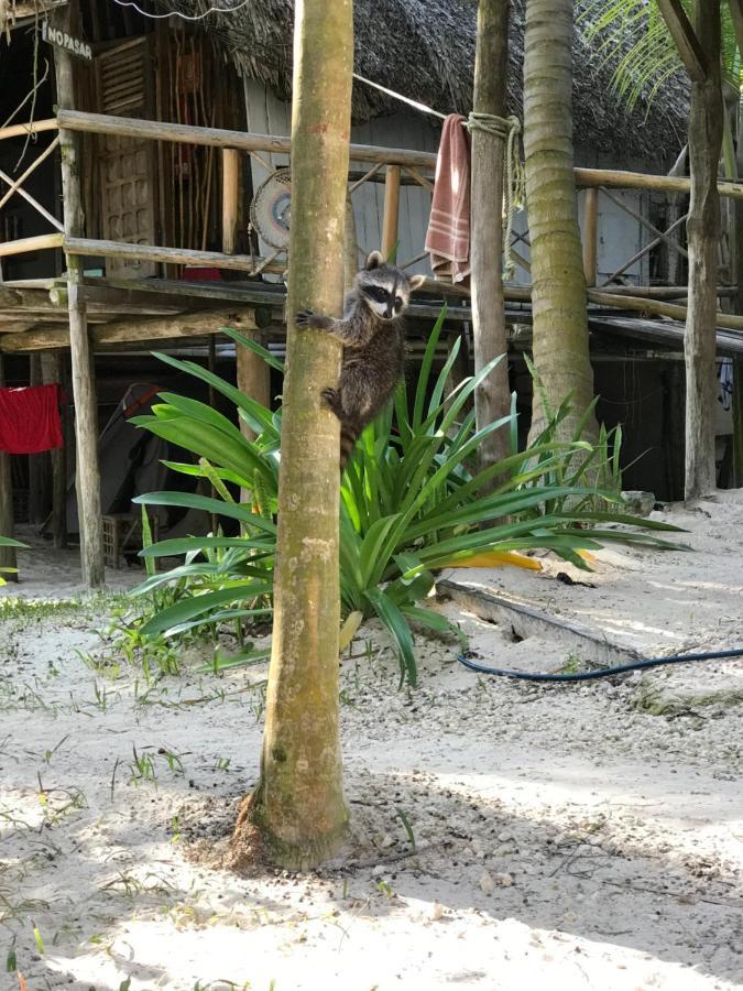 Chavez Eco Beach Camping And Cabanas Tulum Dış mekan fotoğraf